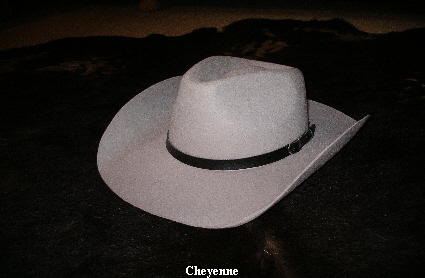 IMGP0329